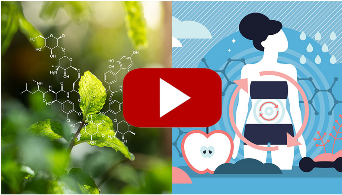 pink salt recipe for weight loss